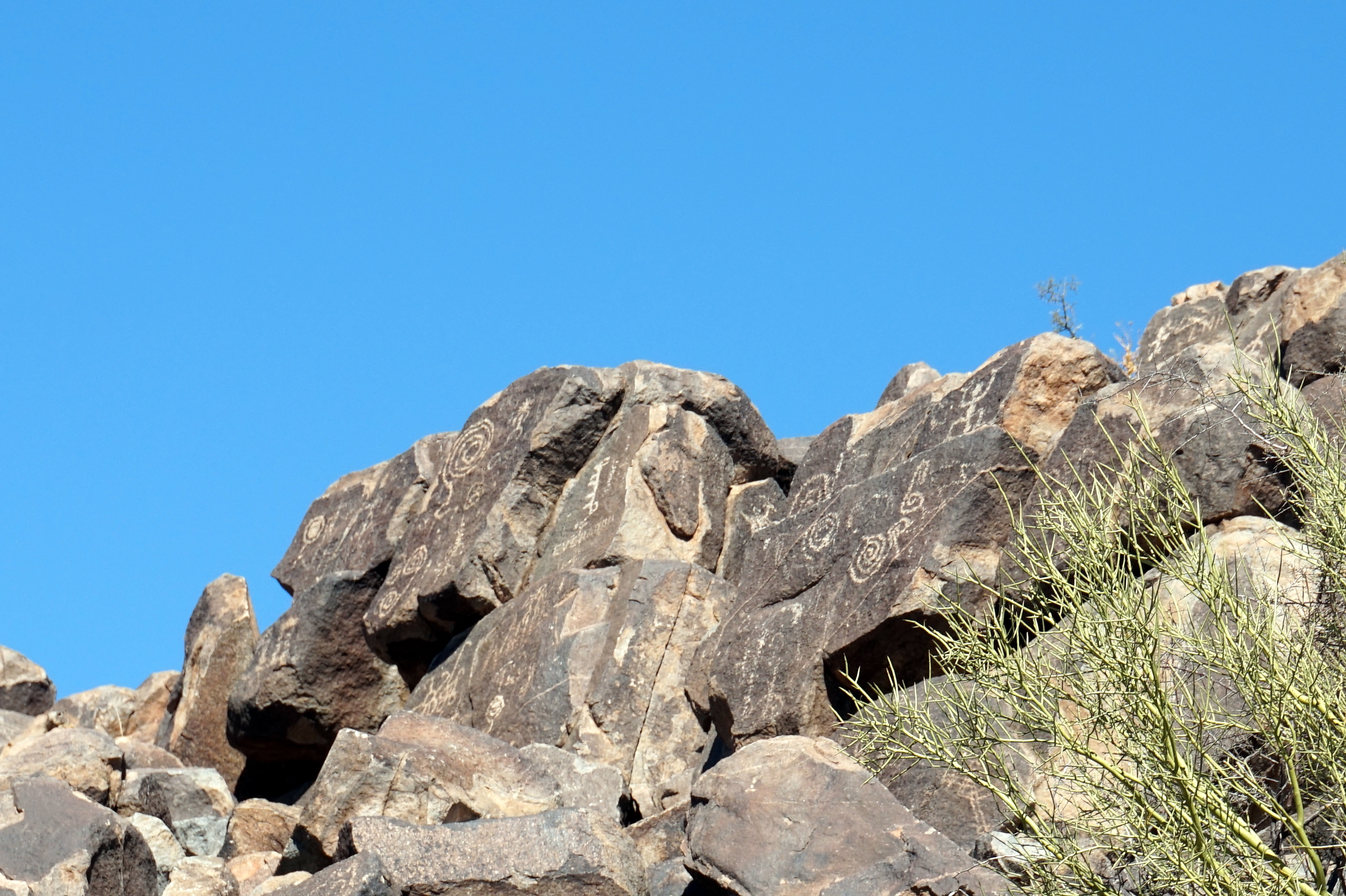 Hohokam Petroglyphs — © Ron Cogswell, CC BY 2.0, via Wikimedia Commons